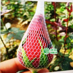 Cách sử dụng lưới bao hoa tại Hải Phòng mang lại hiệu quả kinh tế