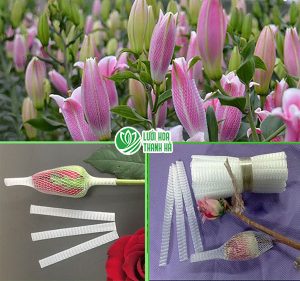 Lưới bao hoa: Bí quyết giúp dân Đà Lạt tăng năng suất trồng hoa