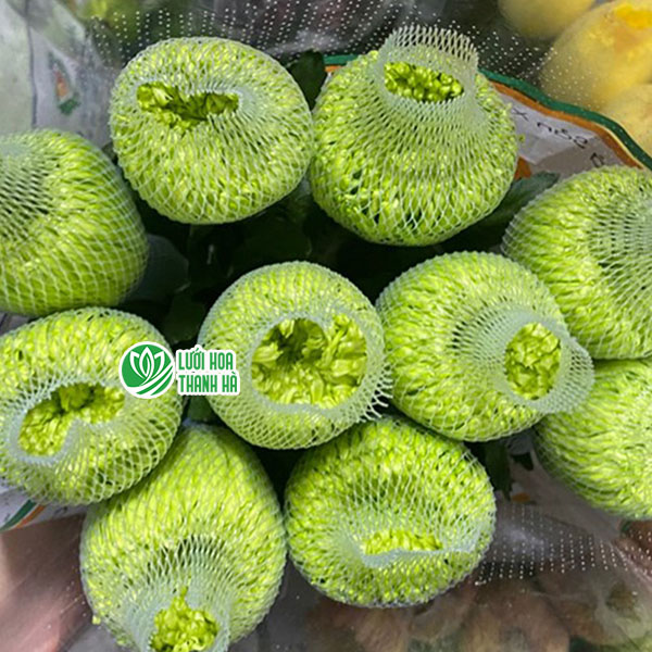 ( Lưới bao hoa độ đàn hồi tốt, dẻo dai)