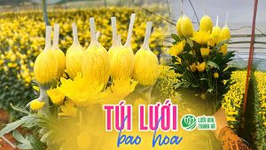 Cần mua lưới bao hoa chất lượng ở đâu?