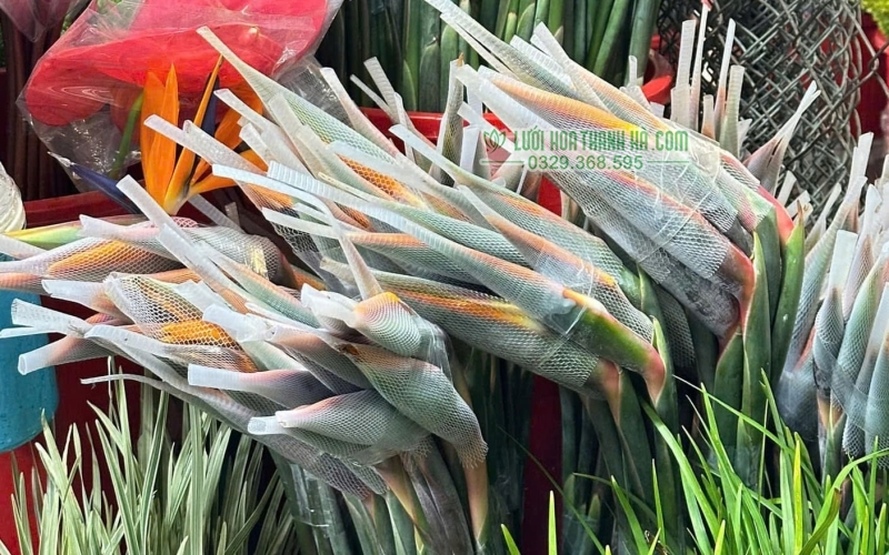 Túi lưới nhựa giúp hạn chế sai lầm khiến đầu hoa dễ bị dập khi vận chuyển