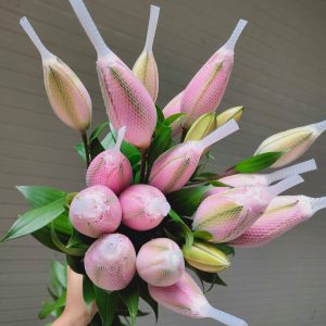 (Lưới chụp hoa ly ôm hoa an toàn)